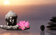 双子座闺蜜配对指南这些星座才是天生绝配